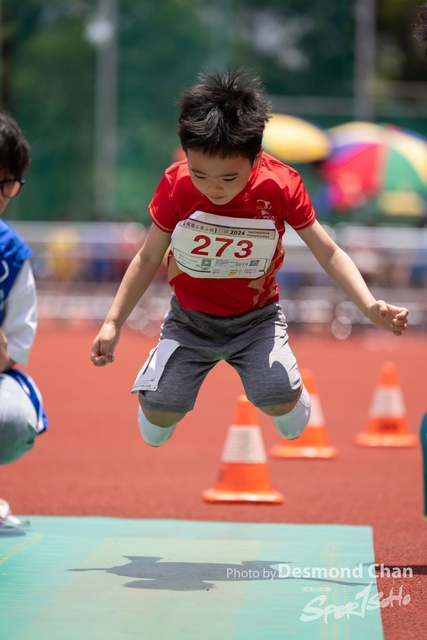 20240515 TF A1 _DC11725-2