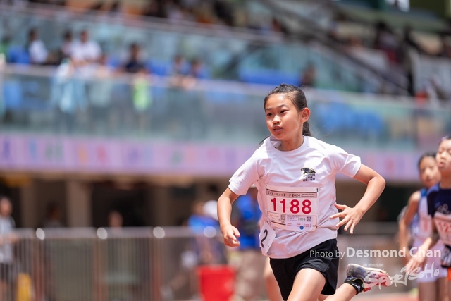 20240515 TF A1 _DC11933-2
