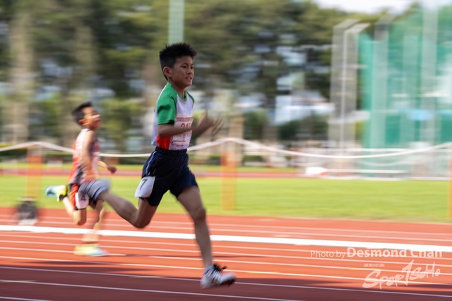 20240515 TF A1 _DC12798-2