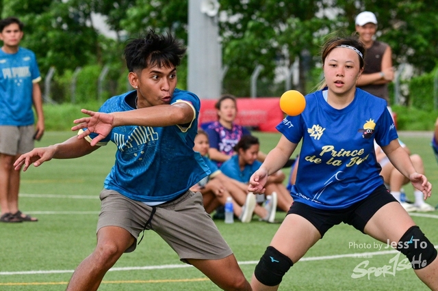 DZ6_12034-1