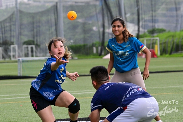 DZ6_12212-1