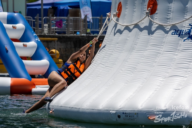 240825_Splash_Fox-13