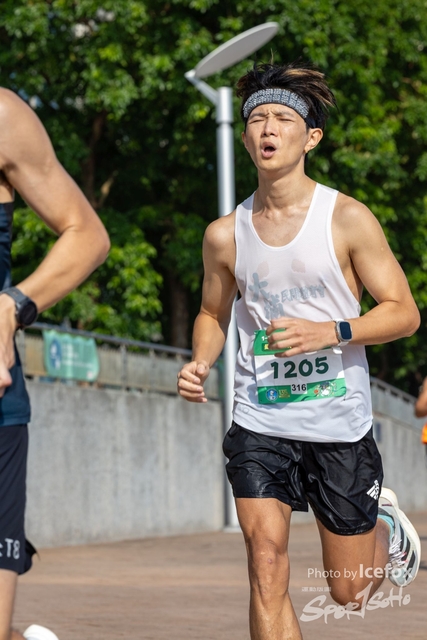 240915_M_135_Ann-179