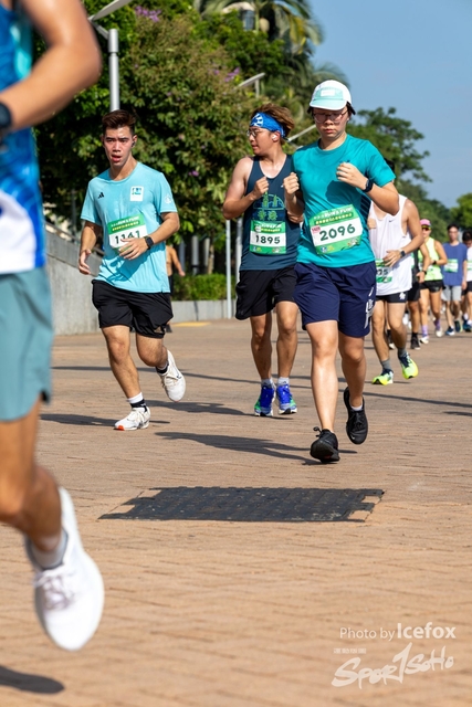 240915_M_135_Ann-520