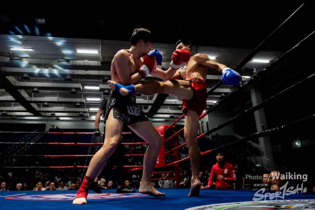 2024-10-31 Muaythai Championship 2024-0529