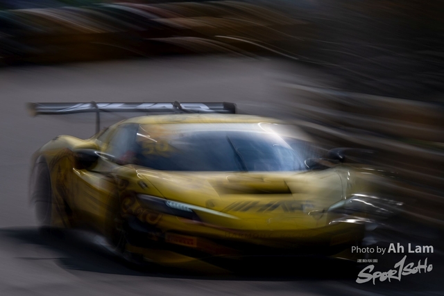 Z8A_8022