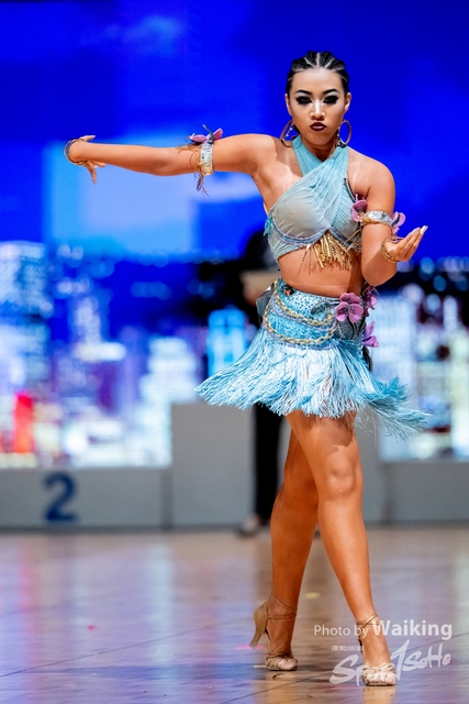 2024-11-13 DSA-0971