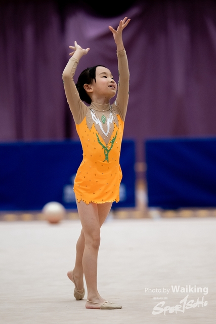 2024-11-30 RG-Freehand-0581