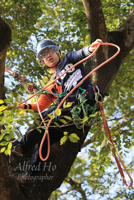 sportsoho運動版圖