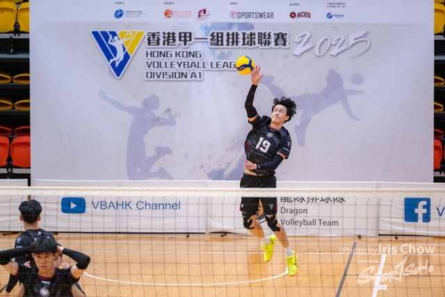 CYY_0590
