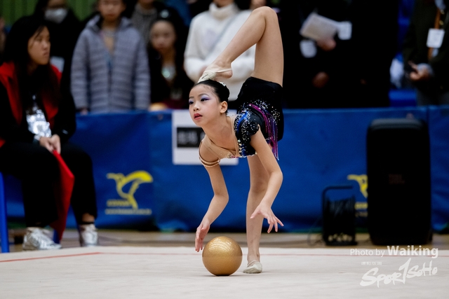 2025-01-18 RG-0074