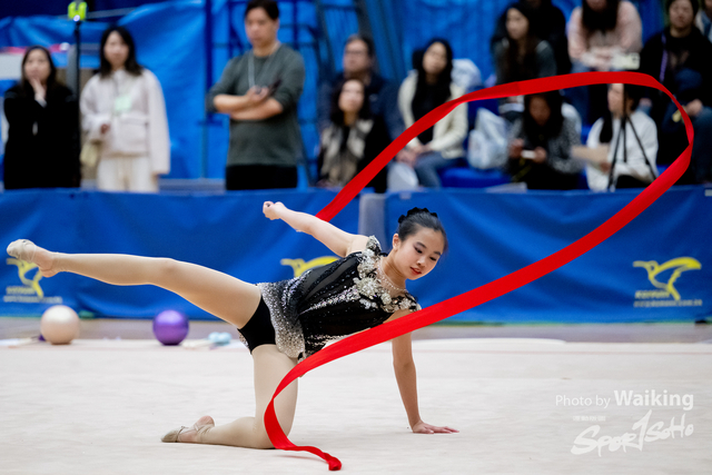 2025-01-19 RG-1529