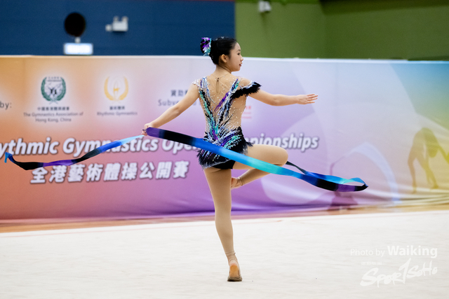 2025-01-19 RG-0393
