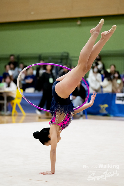 2025-01-19 RG-0534