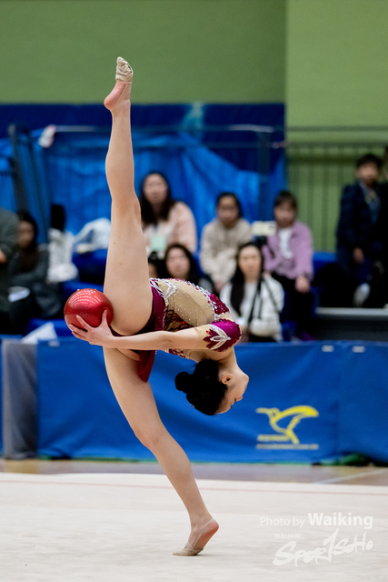 2025-01-19 RG-1065