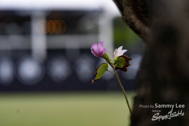 DSC_0823 拷貝