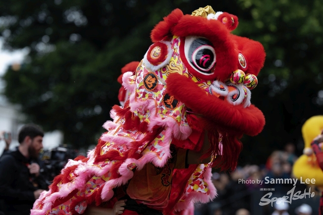 DSC_0872 拷貝