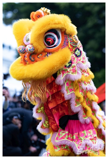 DSC_0880 拷貝