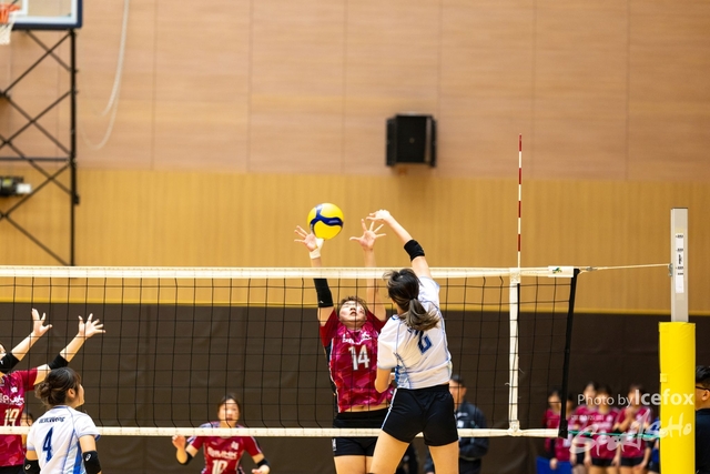 250315_UNI_VBall-63