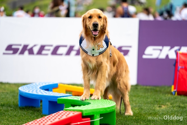 sportsoho運動版圖