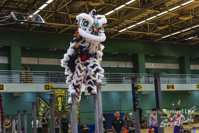 20250427_舞龍舞獅项目 -_LR50026-0016-Enhanced-NR