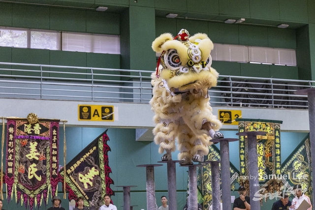 20250427_舞龍舞獅项目 -_LR50083-0049