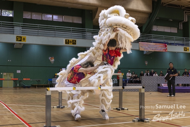 20250427_舞龍舞獅项目 -_LR50549-0229