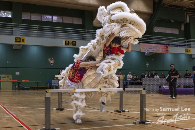 20250427_舞龍舞獅项目 -_LR50550-0230
