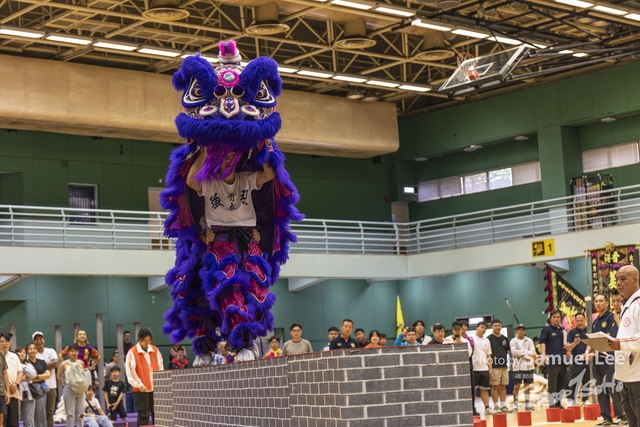20250427_舞龍舞獅项目 -_LR50584-0235-Enhanced-NR