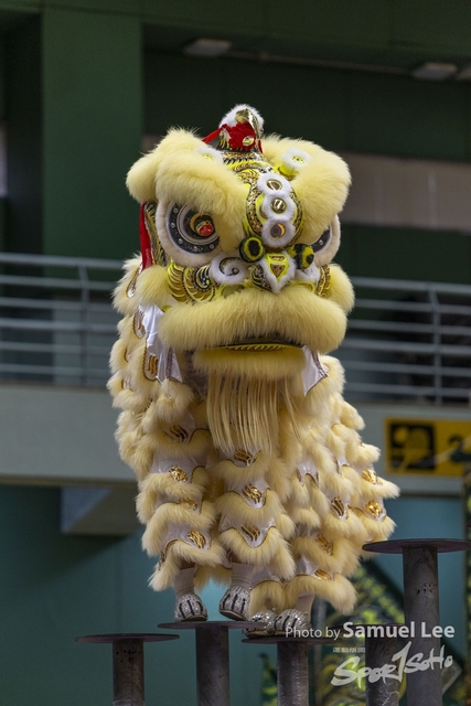 20250427_舞龍舞獅项目 -IMGC0459-0072