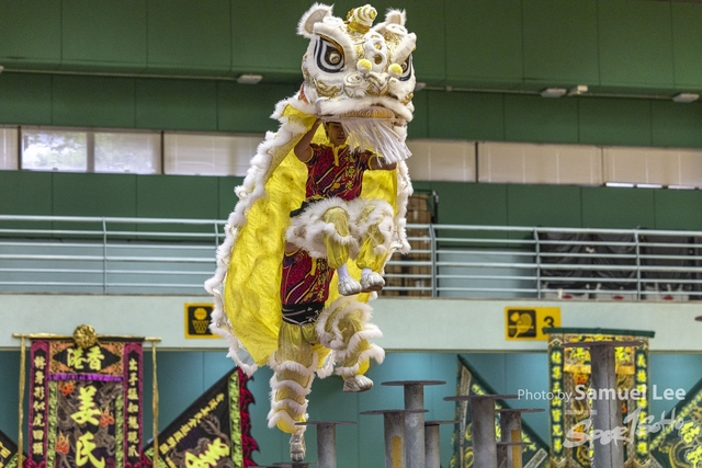 20250427_舞龍舞獅项目 -IMGC0841-0102