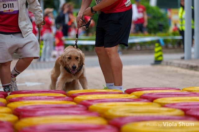 20250427_WellcomeRun_Viola_1VI03515