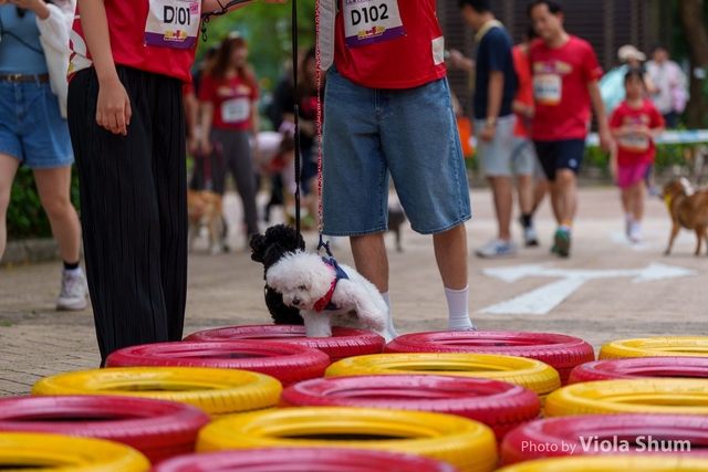 20250427_WellcomeRun_Viola_1VI03594
