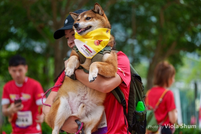 20250427_WellcomeRun_Viola_1VI03659
