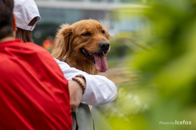 250527_Wel_Run_Pet-94