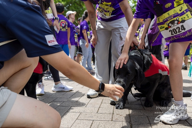 2505011_Kum_Run_3K-275