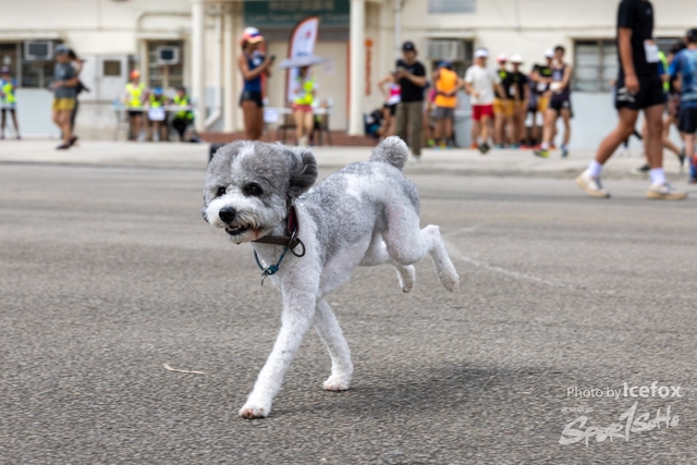 250518_TPH-19