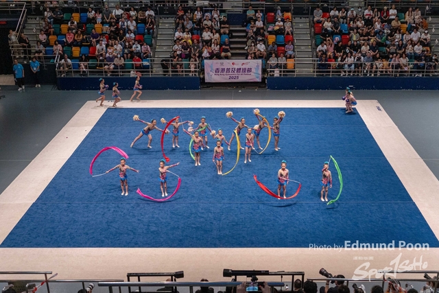 250608P017