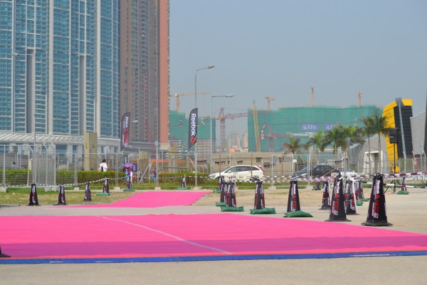 DSC_2867_resize