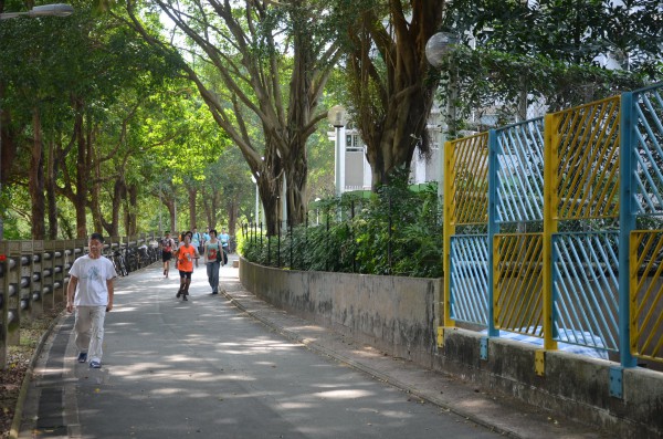 DSC_9060