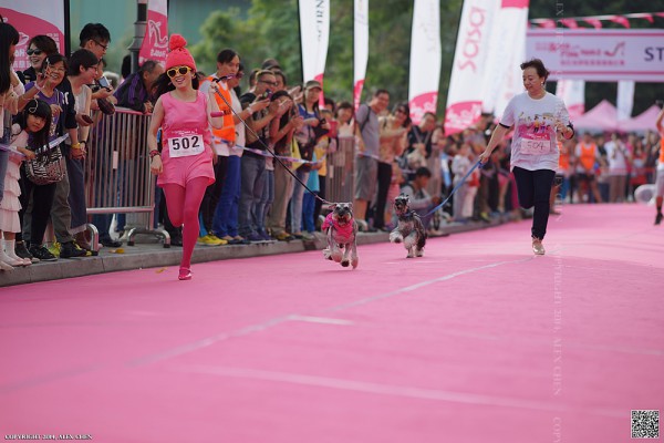 sportsoho運動版圖