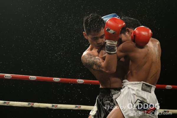 Muaythai (71)