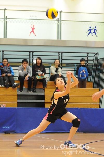 VolleyBall (6)