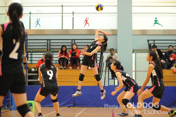 VolleyBall (8)