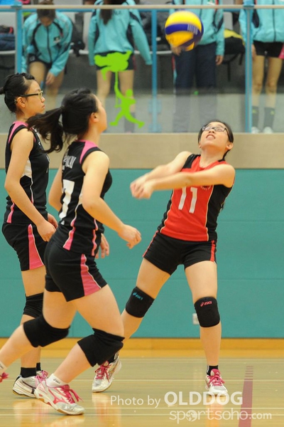 VolleyBall (12)
