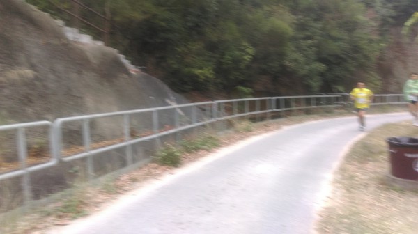 IMAG6103