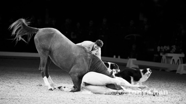Santi Serra031