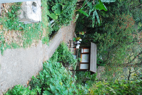 DSC_0211