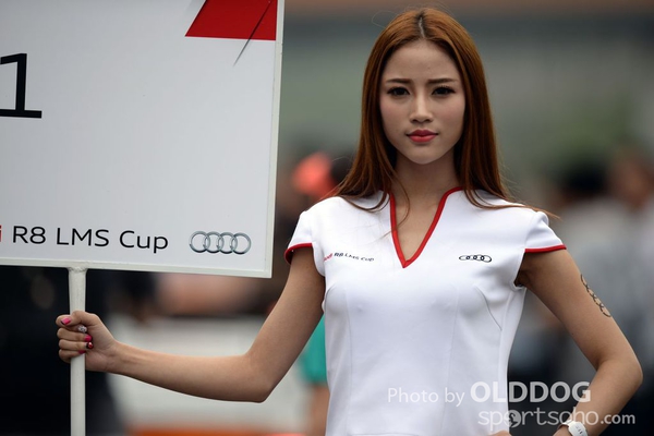 Audi R8 (115)