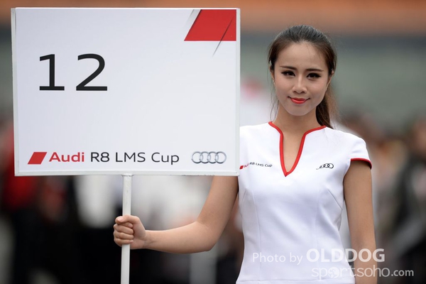 Audi R8 (116)